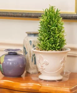 Vigoro 8 in. Plastic Plant Saucer 15 Vigoro 8 in. Plastic Plant Saucer -Outdoor Plant Life vigoro planter saucers vs8vg 44 1000