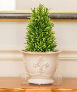 Vigoro 8 in. Plastic Plant Saucer 16 Vigoro 8 in. Plastic Plant Saucer -Outdoor Plant Life vigoro planter saucers vs8vg fa 1000