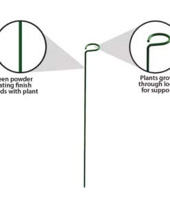 Vigoro 18 in. H x 1.50 in. W Steel Plant Prop -Outdoor Plant Life vigoro tomato cages 611872 hd 1f 1000