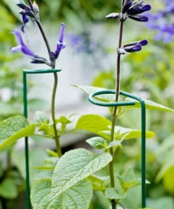 Vigoro 18 in. H x 1.50 in. W Steel Plant Prop -Outdoor Plant Life vigoro tomato cages 611872 hd 44 1000