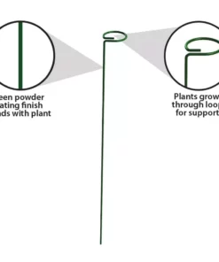 Vigoro 36 in. H x 2.24 in. W Metal Plant Prop 16 Vigoro 36 in. H x 2.24 in. W Metal Plant Prop -Outdoor Plant Life vigoro tomato cages 613672 hd 4f 1000