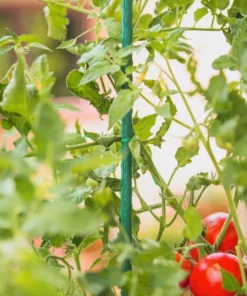 Vigoro 3 ft. Green Colored Steel Core Garden Stake -Outdoor Plant Life vigoro tomato cages st3vg c3 1000