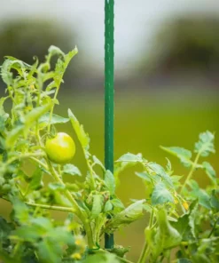 Vigoro 4 ft. Green Colored Steel Core Garden Stake -Outdoor Plant Life vigoro tomato cages st4vg 76 1000