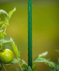 Vigoro 5 ft. Green Colored Steel Core Garden Stake -Outdoor Plant Life vigoro tomato cages st5vg 66 1000