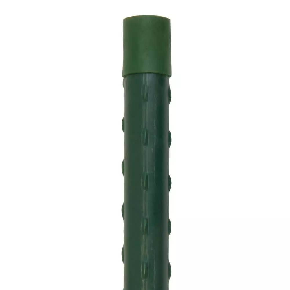 Vigoro 6 ft. Green Colored Heavy Duty Steel Core Garden Stakes 7 Vigoro 6 ft. Green Colored Heavy Duty Steel Core Garden Stakes - Image 5