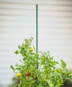 Vigoro 6 ft. Green Colored Steel Core Garden Stake 14 Vigoro 6 ft. Green Colored Steel Core Garden Stake -Outdoor Plant Life vigoro tomato cages st6vg 66 1000