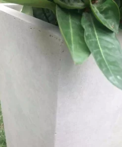 KANTE 24 in. H Square Weathered Concrete/Fiberglass Indoor Outdoor Modern Tall Seamless Planter -Outdoor Plant Life weathered concrete kante plant pots osf0002b c80021 2 44 1000