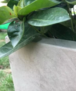 KANTE 31 in. L Rectangular Weathered Concrete/Fiberglass Indoor Outdoor Elegant Planter -Outdoor Plant Life weathered concrete kante plant pots osf0104b c80021 2 1f 1000