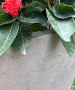 KANTE 31 in. L Rectangular Weathered Concrete/Fiberglass Indoor Outdoor Elegant Planter -Outdoor Plant Life weathered concrete kante plant pots osf0104b c80021 2 44 1000