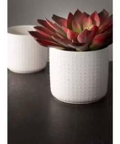SULLIVANS White Ceramic Planter (Set of 2) -Outdoor Plant Life white sullivans plant pots cm2952 4f 1000