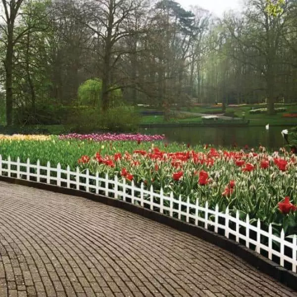 Vigoro 36 in. Wood Picket Garden Fence 6 Vigoro 36 in. Wood Picket Garden Fence - Image 4