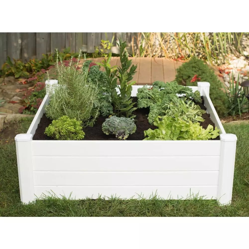 Vigoro 4 ft. x 4 ft. x 15 in. White Vinyl Raised Garden Bed 5 Vigoro 4 ft. x 4 ft. x 15 in. White Vinyl Raised Garden Bed - Image 3