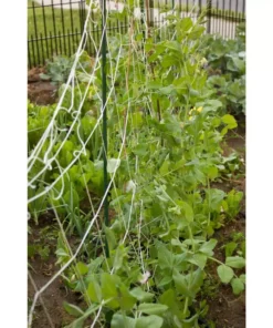 Vigoro 5 ft. x 8 ft. Sturdy Garden Trellis -Outdoor Plant Life white vigoro tomato cages t008avg 44 1000