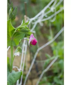 Vigoro 5 ft. x 8 ft. Sturdy Garden Trellis -Outdoor Plant Life white vigoro tomato cages t008avg fa 1000