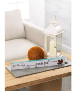 SULLIVANS 17.5 in. Lantern with LED Pillar Candle -Outdoor Plant Life whites sullivans outdoor lanterns gl43857 44 1000