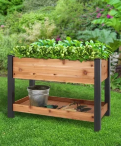 Vigoro 2 ft. x 4 ft. Elevated Cedar Garden Bed with Shelf (Vinyl Legs) -Outdoor Plant Life wood vigoro raised planter boxes 445190 4f 1000